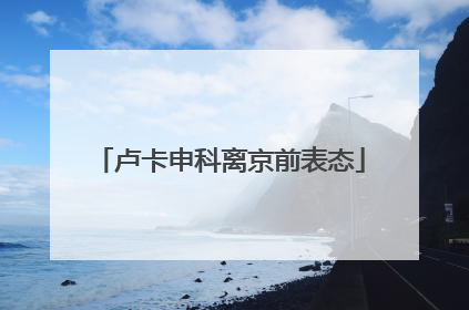 卢卡申科离京前表态