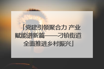 党建引领聚合力 产业赋能谱新篇——刁镇街道全面推进乡村振兴