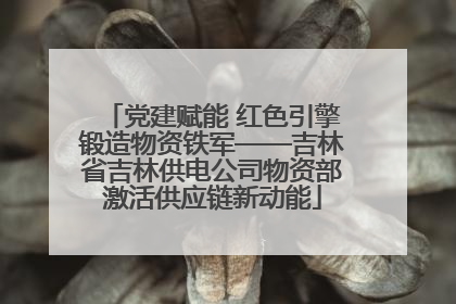 党建赋能 红色引擎锻造物资铁军——吉林省吉林供电公司物资部激活供应链新动能