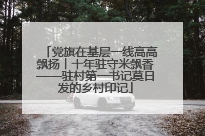 党旗在基层一线高高飘扬丨十年驻守米飘香——驻村第一书记莫日发的乡村印记