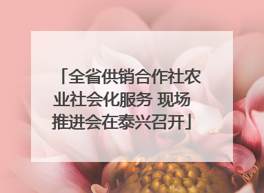 全省供销合作社农业社会化服务 现场推进会在泰兴召开