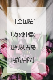 全国第11万列中欧班列从青岛鸣笛启程