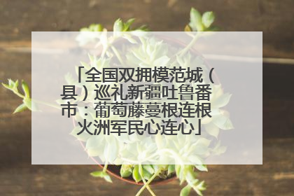全国双拥模范城（县）巡礼新疆吐鲁番市：葡萄藤蔓根连根 火洲军民心连心