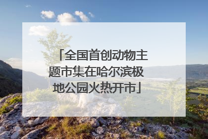 全国首创动物主题市集在哈尔滨极地公园火热开市