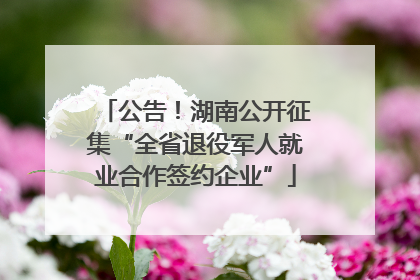 公告！湖南公开征集“全省退役军人就业合作签约企业”