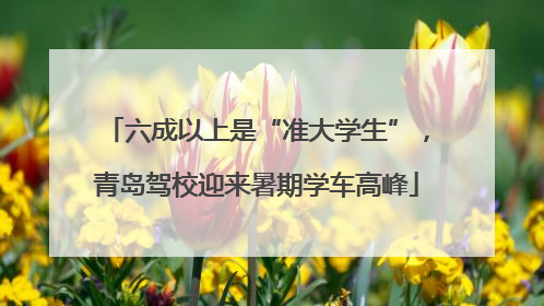 六成以上是“准大学生”，青岛驾校迎来暑期学车高峰