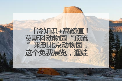 冷知识+高颜值！莫斯科动物园“顶流”来到北京动物园，这个免费展览，遛娃拍照两不误！