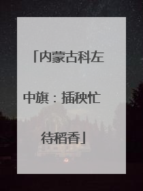 内蒙古科左中旗：插秧忙 待稻香