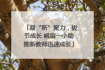 凝“新”聚力，拔节成长 峨眉一小助推新教师迅速成长