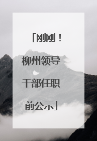 刚刚!柳州领导干部任职前公示