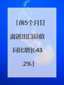 前5个月甘肃进出口总值同比增长43.2%