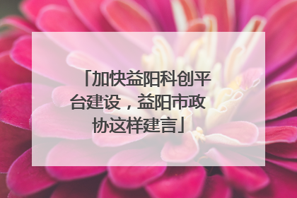 加快益阳科创平台建设，益阳市政协这样建言