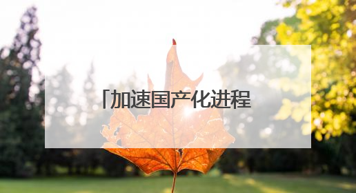 加速国产化进程 金山办公发布WPS AI私有化方案