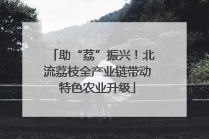 助“荔”振兴！北流荔枝全产业链带动特色农业升级