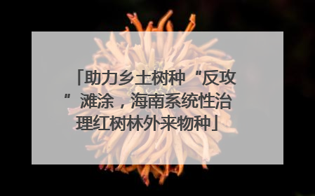 助力乡土树种“反攻”滩涂，海南系统性治理红树林外来物种