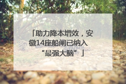 助力降本增效，安徽14座船闸已纳入“最强大脑”