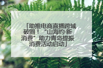 助推电商直播跨域破圈！“山海约·新消费”助力青岛提振消费活动启动