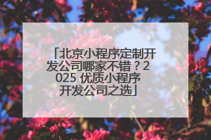 北京小程序定制开发公司哪家不错？2025 优质小程序开发公司之选