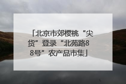 北京市郊樱桃“尖货”登录“北苑路88号”农产品市集