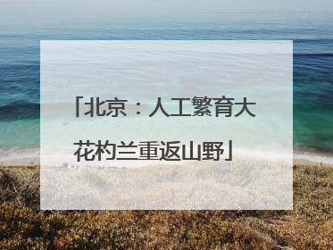 北京：人工繁育大花杓兰重返山野