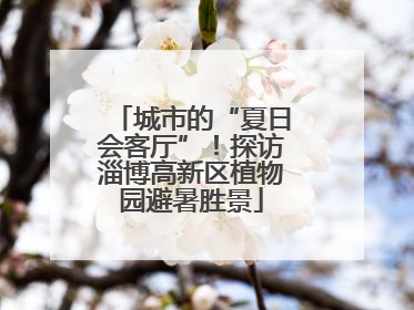 城市的“夏日会客厅”！探访淄博高新区植物园避暑胜景