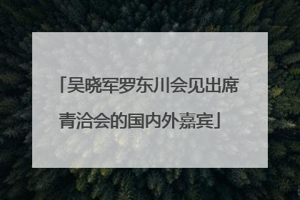 吴晓军罗东川会见出席青洽会的国内外嘉宾