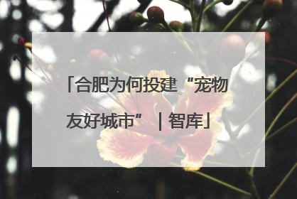 合肥为何投建“宠物友好城市”｜智库