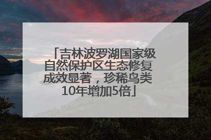 吉林波罗湖国家级自然保护区生态修复成效显著，珍稀鸟类10年增加5倍