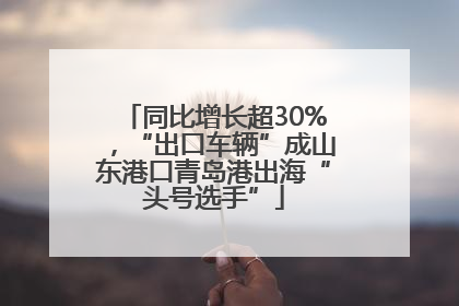 同比增长超30%，“出口车辆”成山东港口青岛港出海“头号选手”