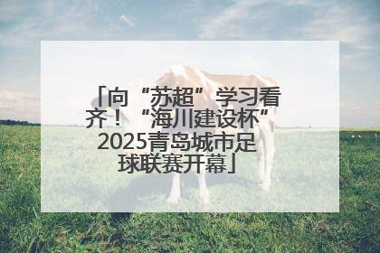 向“苏超”学习看齐！“海川建设杯”2025青岛城市足球联赛开幕