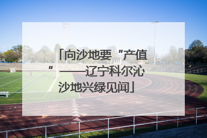 向沙地要“产值”——辽宁科尔沁沙地兴绿见闻