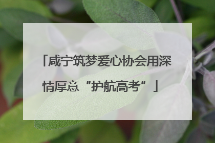 咸宁筑梦爱心协会用深情厚意“护航高考”