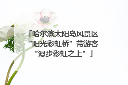 哈尔滨太阳岛风景区“阳光彩虹桥”带游客“漫步彩虹之上”