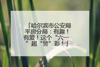 哈尔滨市公安局平房分局：有趣！有爱！这个“六一”超“警”彩！