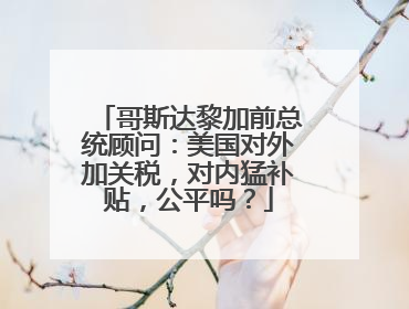 哥斯达黎加前总统顾问:美国对外加关税,对内猛补贴,公平吗?