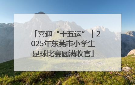 喜迎“十五运”｜2025年东莞市小学生足球比赛圆满收官