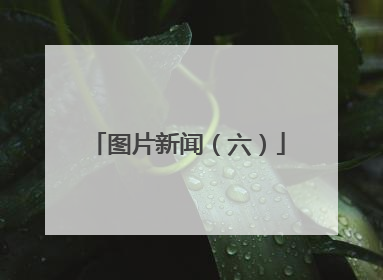 图片新闻（六）