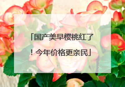 国产美早樱桃红了！今年价格更亲民