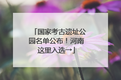 国家考古遗址公园名单公布！河南这里入选→