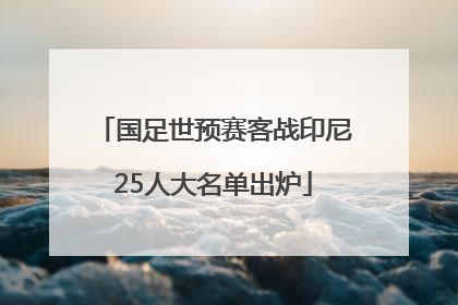 国足世预赛客战印尼25人大名单出炉