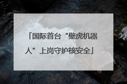 国际首台“壁虎机器人”上岗守护核安全