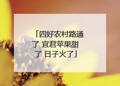 四好农村路通了 宜君苹果甜了 日子火了