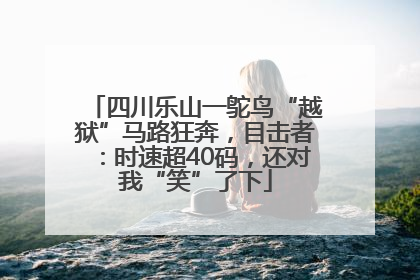 四川乐山一鸵鸟“越狱”马路狂奔，目击者：时速超40码，还对我“笑”了下