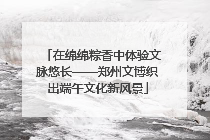 在绵绵粽香中体验文脉悠长——郑州文博织出端午文化新风景