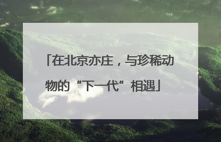 在北京亦庄，与珍稀动物的“下一代”相遇