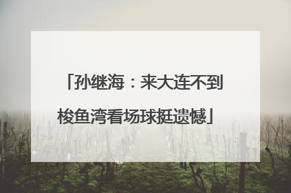 孙继海：来大连不到梭鱼湾看场球挺遗憾