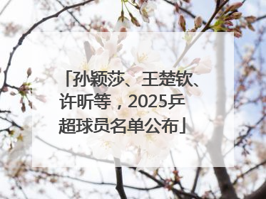 孙颖莎、王楚钦、许昕等，2025乒超球员名单公布