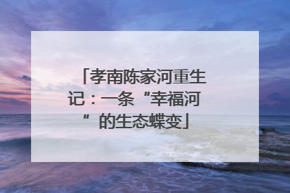 孝南陈家河重生记：一条“幸福河”的生态蝶变