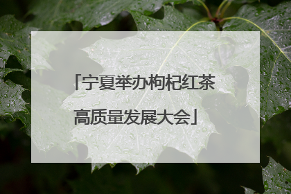 宁夏举办枸杞红茶高质量发展大会