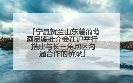 宁夏贺兰山东麓葡萄酒品鉴推介会在沪举行 搭建与长三角地区沟通合作的桥梁